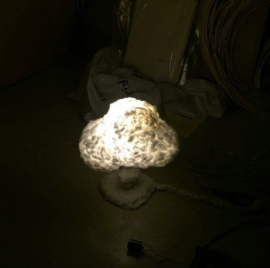 ядерный гриб в комнате